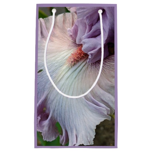 Bleke Paarse Bearded Iris Bloom Floral Klein Cadeauzakje (Voorkant)