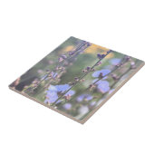 Bleke Paarse blauw Plant van cichorei Tegeltje (Zijkant)