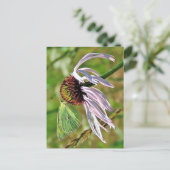 Bleke Paarse Coneflower Briefkaart (Staand voorkant)