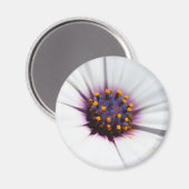 Bleke Paarse Daisy Magneet (Voorkant / Achterkant)