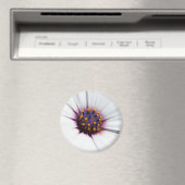 Bleke Paarse Daisy Magneet (Insitu (Vaatwasser))