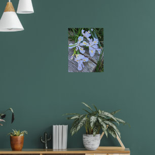 Bleke Paarse Iris Bloemen Poster