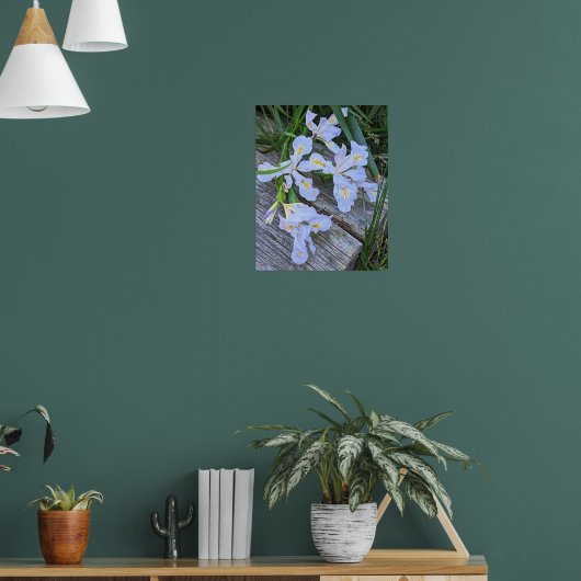 Bleke Paarse Iris Bloemen Poster (Woonkamer 1)