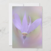Bleke Paarse lelie bloem partij Kaart (Achterkant)