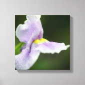 Bleke Paarse Orchidee Wildflower Canvas Afdruk (Voorkant)