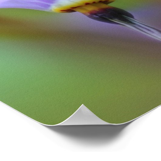 Bleke Paarse ventilator dicht Poster (Hoek)