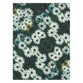 Bleke pasta Namaqualand Osteospermum Flowers Tafelkleed