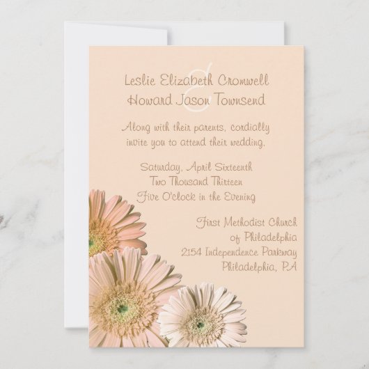 Bleke Peach Gerber Daisy Custom Wedding Invitation Kaart (Voorkant)