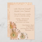 Bleke Peach Gerber Daisy Custom Wedding Invitation Kaart (Voorkant / Achterkant)
