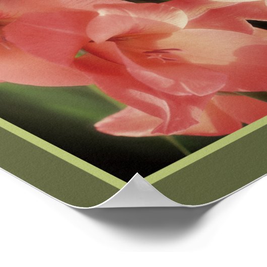 Bleke Perzik Gladiolus Flower Mirror Abstract Poster (Hoek)