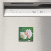 Bleke perzik irismagneet magneet (Insitu (Vaatwasser))