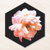 Bleke perzik pioen op zwart kartonnen onderzetters (Voorkant)