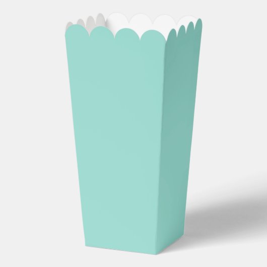 Bleke Robin Egg Blue Solid Color Bedankdoosjes (Voorkant)
