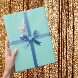 Bleke Robin Egg Blue Solid Color Cadeaupapier