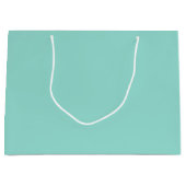 Bleke Robin Egg Blue Solid Color Groot Cadeauzakje (Voorkant)