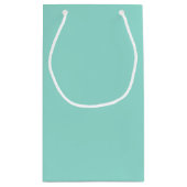 Bleke Robin Egg Blue Solid Color Klein Cadeauzakje (Achterkant)