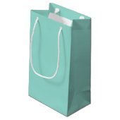 Bleke Robin Egg Blue Solid Color Klein Cadeauzakje (Achterkant Gekanteld)