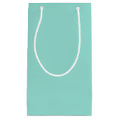Bleke Robin Egg Blue Solid Color Klein Cadeauzakje (Voorkant)