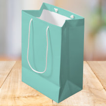 Bleke Robin Egg Blue Solid Color