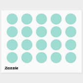 Bleke Robin Egg Blue Solid Color Ronde Sticker (Vel)