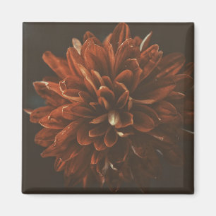 Bleke Rode Chrysant Bloemmagneet Magneet