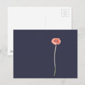 Bleke Rode Gerbera Bloem Briefkaart (Voorkant / Achterkant)