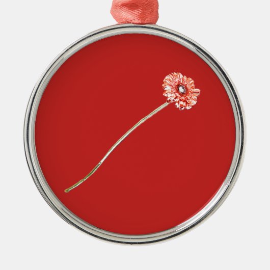 Bleke Rode Gerbera Bloem Metalen Ornament (Voorkant)