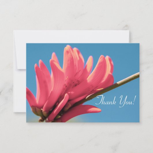 Bleke rode roze Erythrina FlowerHartelijk dank voo (Voorkant)