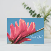 Bleke rode roze Erythrina FlowerHartelijk dank voo (Staand voorkant)