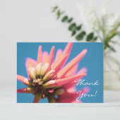 Bleke rode roze Erythrina FlowerHartelijk dank voo (Staand voorkant)