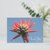 Bleke rode roze Erythrina FlowerHartelijk dank voo (Staand voorkant)