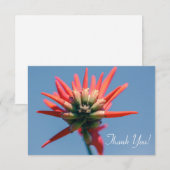 Bleke rode roze Erythrina FlowerHartelijk dank voo (Voorkant / Achterkant)