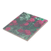 Bleke rode rozen bloemen tekenen tegeltje (Zijkant)