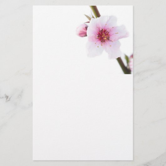 Bleke roze bloemen briefpapier (Voorkant)