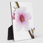 Bleke roze bloemen fotoplaat (Zijkant)