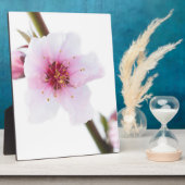 Bleke roze bloemen fotoplaat (Zijkant)
