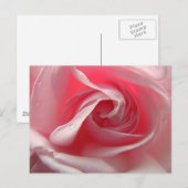 Bleke roze briefkaart (Voorkant / Achterkant)