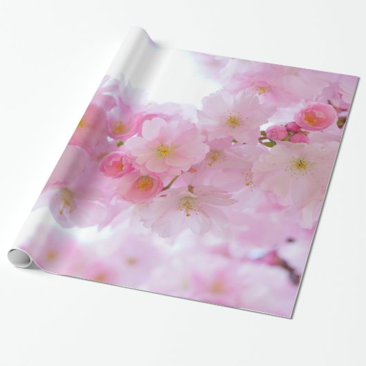 Bleke roze Cherry Blossom Cadeaupapier (Uitgerold)