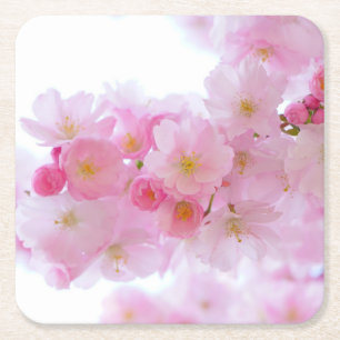Bleke roze Cherry Blossom Kartonnen Onderzetters