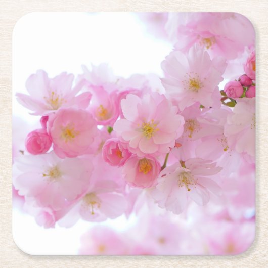 Bleke roze Cherry Blossom Kartonnen Onderzetters (Voorkant)