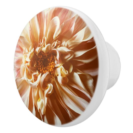 Bleke roze dahlia keramische knop (Rechts)