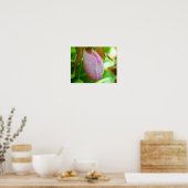 Bleke roze dame Slipper Orchid Sluiten Poster (Keuken)