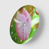 Bleke roze dame Slipper Orchid Sluiten  Ronde Klok (Hoek)