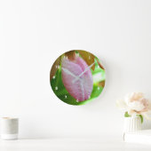 Bleke roze dame Slipper Orchid Sluiten  Ronde Klok (Huis)