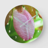 Bleke roze dame Slipper Orchid Sluiten