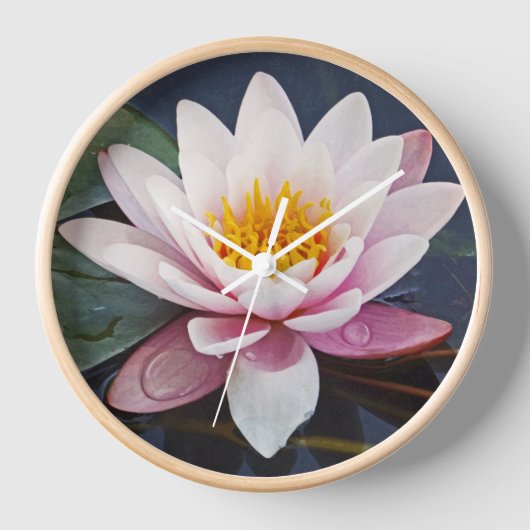 "BLEKE ROZE LOTUSBLOESEM" (Voorkant)