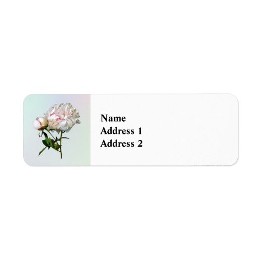 Bleke Roze Pioen en Knop Etiket (Voorkant)
