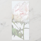 Bleke Roze Pioen en Knop Menu (Achterkant)