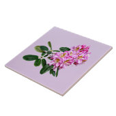 Bleke Roze Rhododendron Tegeltje (Zijkant)