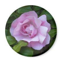 Bleke roze roosmagneet